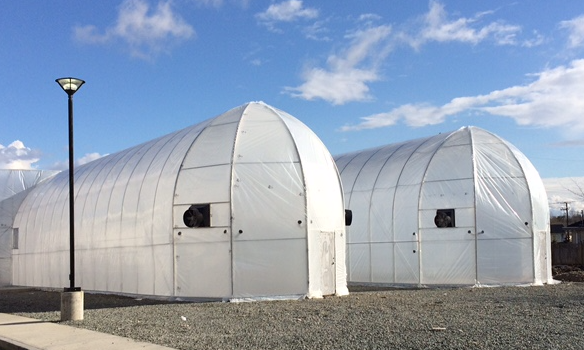CUSTOM Greenhouses